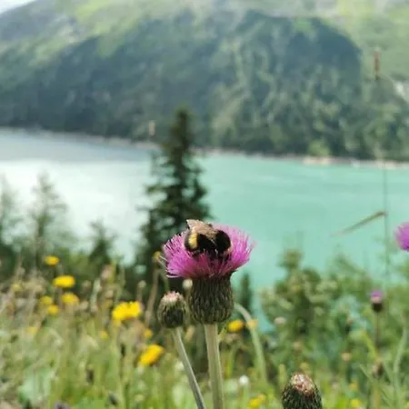 Apartament Haus Dora 3 Ahorn *