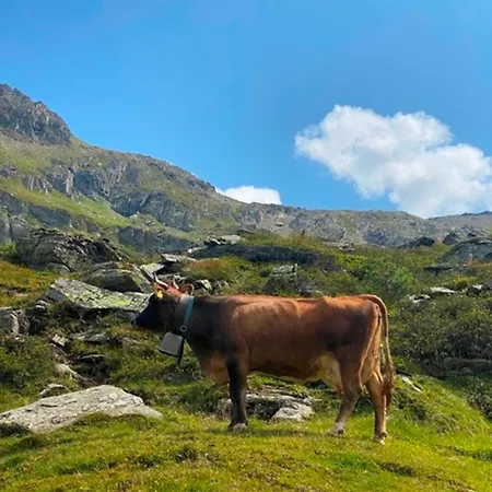 Appartement Haus Dora 3 Ahorn